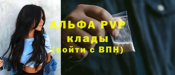 амф Алексин