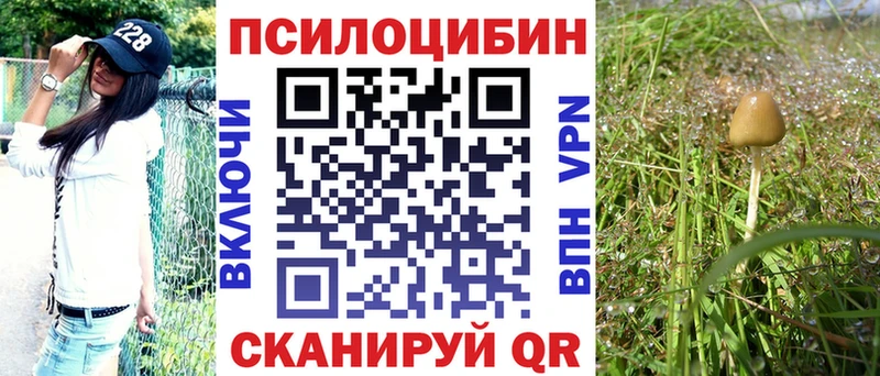 Псилоцибиновые грибы MAGIC MUSHROOMS продажа наркотиков ссылка на мегу ссылка Коркино